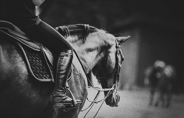 rider on a horse